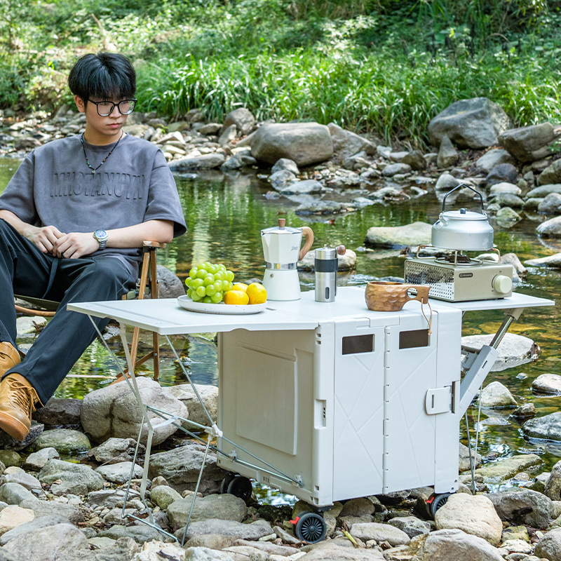 Foldable Outdoor Camping Picni - Outdoor Camping Trolley review and price